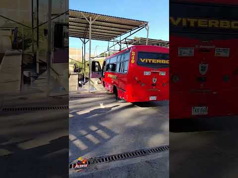 Asi se sintio el fuerte temblor en Viterbo Caldas