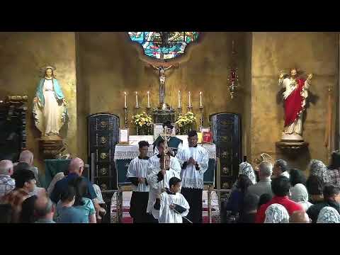 10:30 AM Missa Cantata - Dominica XVIII Post Pentecosten