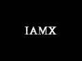 IAMX - Unplugged Set, Rhiz, Vienna, Austria 2004 ...