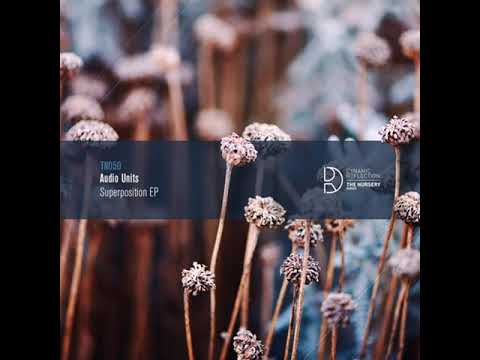 MNMT Premiere: Audio Units – Steady State Theory