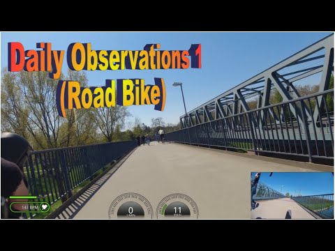 Daily Observations 1 (Road Bike)