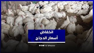 بعد ارتفاع قياسي.. أسعار الدواجن تسجل انخفاضًا ملحوظًا في الأسواق thumbnail