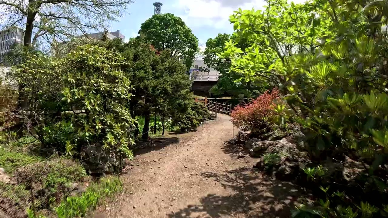 Embark on an enchanting walking tour of Hokkaido University's Botanical Gardens.