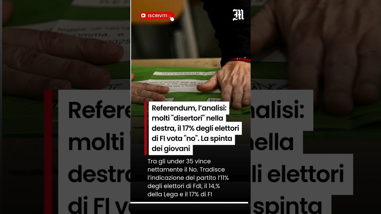 Referendum, l'analisi: molti 