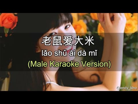 Lao shu Ai Da Mi( 老鼠愛大米) ] 伴奏 KTV Karaoke Male key pinyin lyrics