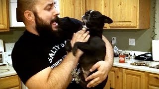 Pharrell Williams - Happy (Bearded Cover) by Matt Turkington