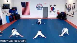 Live Class - Blue Belt - 6.18.20 @ 6pm