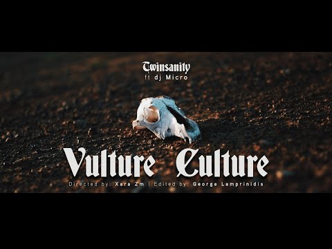 Twinsanity - Vulture Culture Feat. Dj Micro (OFFICIAL VIDEO)