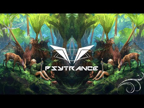 PSY-TRANCE ◈ Mendool - Born C