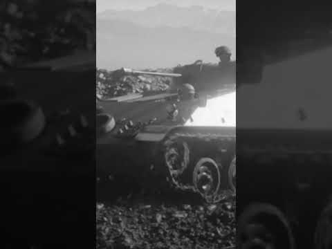 Saurer Tartaruga Schützenpanzer Schützenpanzerwagen AVA-INFO