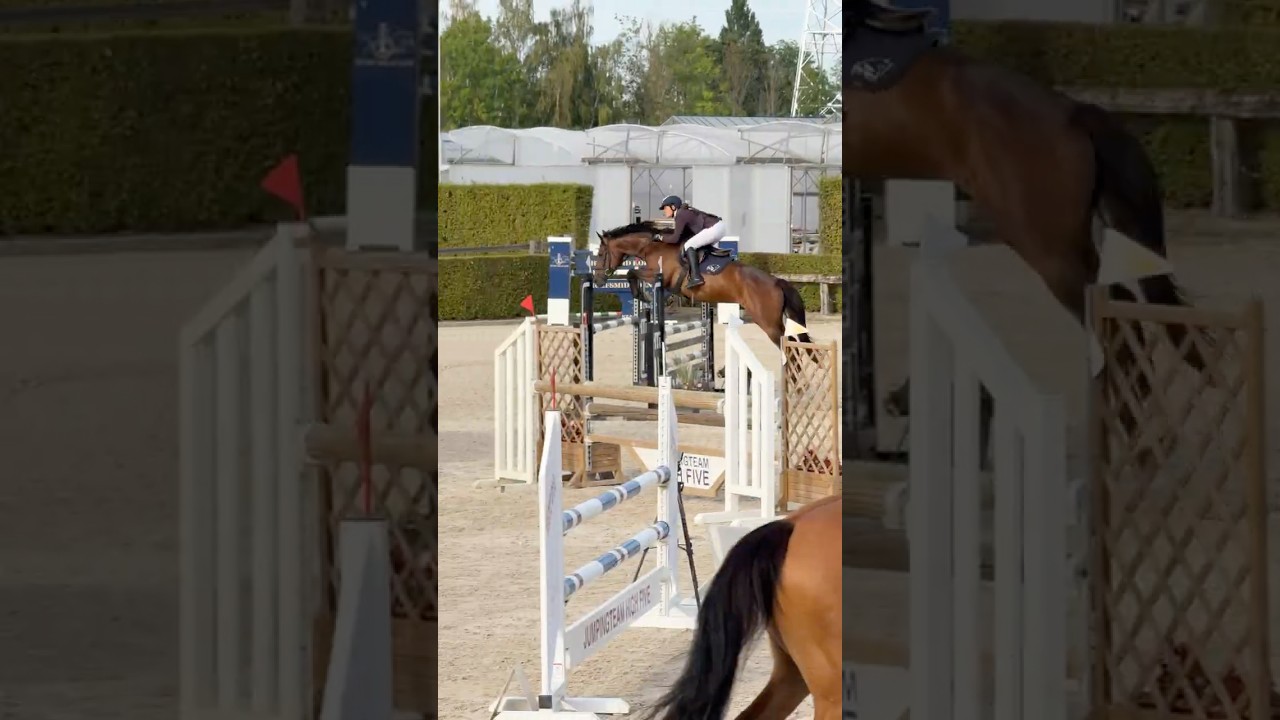 Trust me Van Den Heuvel video 1