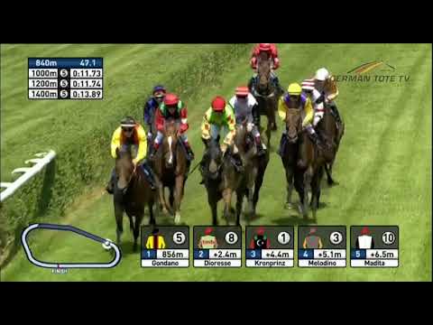 BBAG Auktionsrennen Hoppegarten - Auction Race 2018