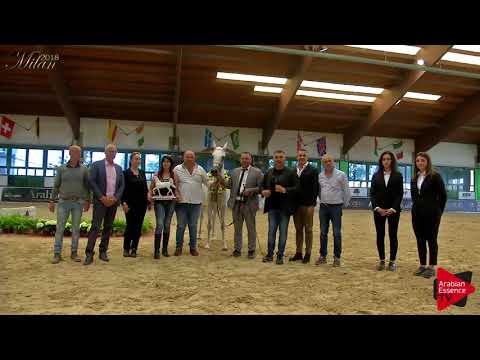 N.66 HANAYA JAZEEBAH - Milan 2018 - Senior Mares Championship (Class 19)  3rd place
