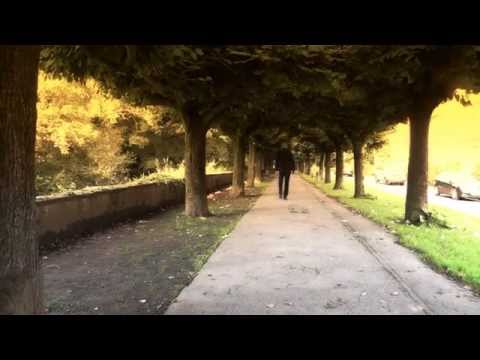 Jorg Schmitz - Originalversion