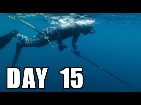 15日間何も食べてない漁師がガチで素潜りしてみたら。。