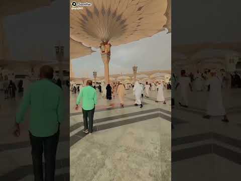 Beautifull Video is Day💖