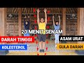20 MINUTES OF EXERCISE FOR HIGH BLOOD PRESSURE CHOLESTEROL URIC ACID SUGAR