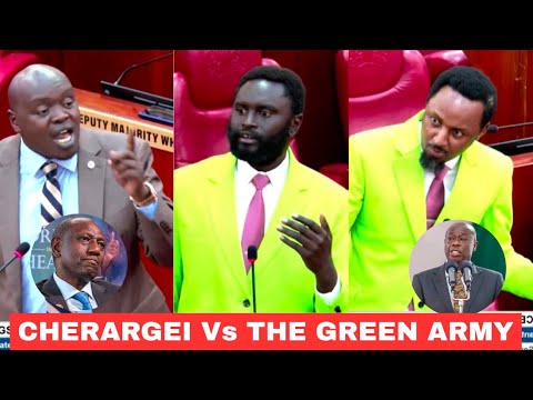 DRAMA! Methu, Joe Nyutu,Thangwa fists Ruto's Cherargei in senate after OlKalou win,UDA embarrassment