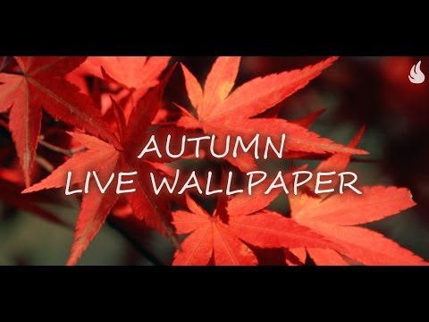 Autumn Live Wallpaper