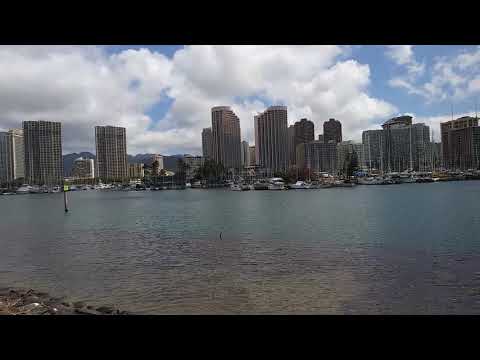 2019.02.07.Magic.Island