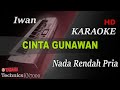 CINTA GUNAWAN - IWAN ( NADA RENDAH PRIA ) || KARAOKE KN7000
