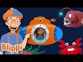 Blippi Ocean Animals Song! | Kids Songs & Nursery Rhymes | Educational Videos for Toddlers