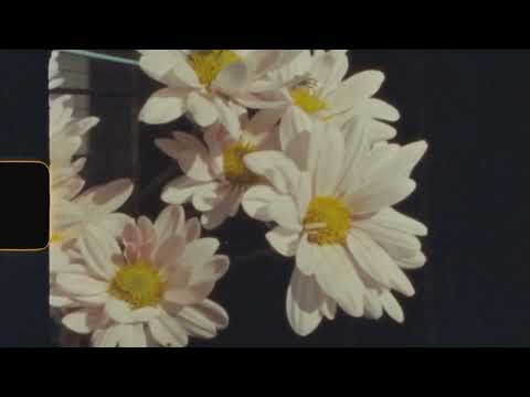 Druid Fluids - Eternal (Official Video)