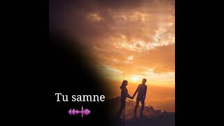 Tu samne baitha rahe l guitar