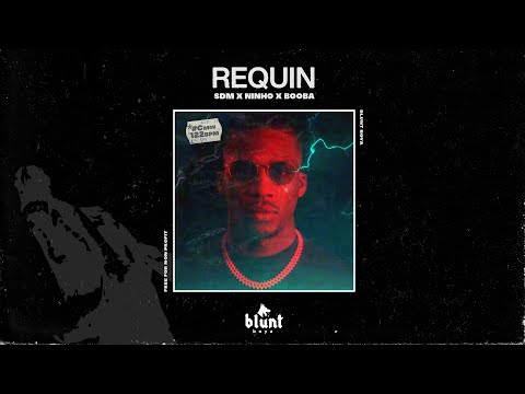[FREE] SDM x Ninho x Booba Type Beat 2023 - "REQUIN"