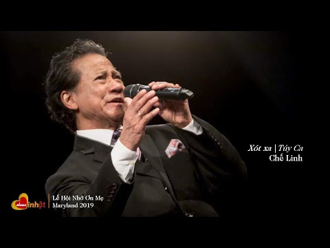 Liên khúc Xót xa & Túy ca - Chế Linh