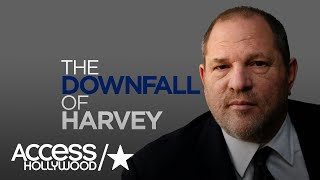 Harvey Weinstein: A Look At The Hollywood Movie Head Honcho's History | Access Hollywood
