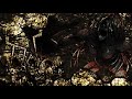 Attack On Titan Yuugure No Tori Definitive Version