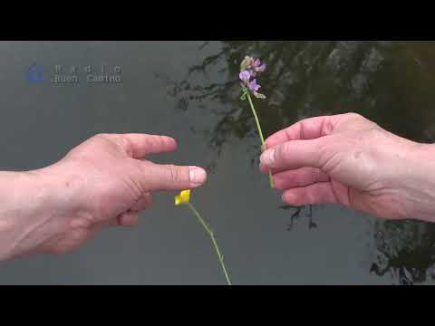 FRANCE - Morvan - La rigole de l'Yonne - part 1