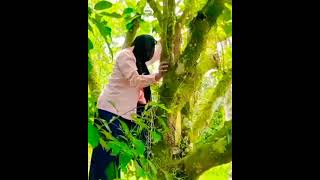 Download lagu DRAMA SPOTAN :MEKNAK JOYAH JUMPA KAWAN BARU EPISOD 3! mp3