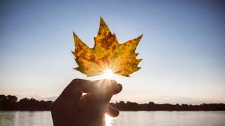 Autumn   Edgar Winter Group 1972