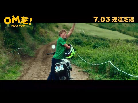 OM芝!電影海報