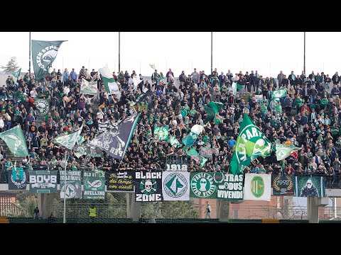 Video Tifo Avellino - Picerno