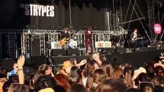 The Strypes / Perfect Storm / live at VOLT festiva