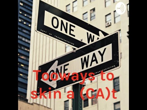 Dario Grassini CPA, Co-CEO and Founder of SAPRO Consulting