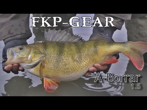 A-Borrar 1.5 med Fk Lubbe