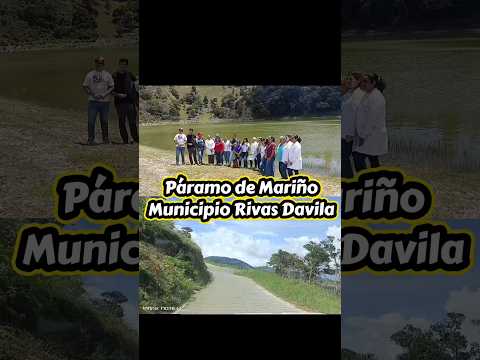 Páramo de Mariño Municipio Rivas Davila #greenscreen