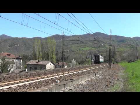 TARTARUGA E.444.091 TRANSITA A RIGOROSO  (AL) 15 - 4  - 2'015.