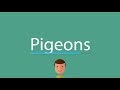 Pigeons pronunciation