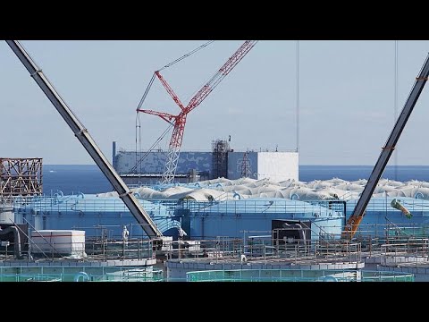 10 years of decontamination - How the Japanese are handling Fukushima