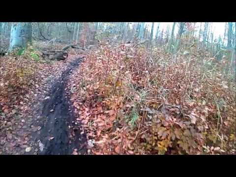 Großer Ravensberg und Katharinenholz