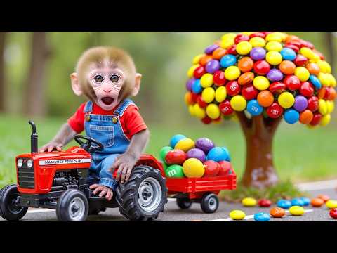 Monkey Nana drove the tractor , discovered a candy tree and a UFO , and saved the dry Field
