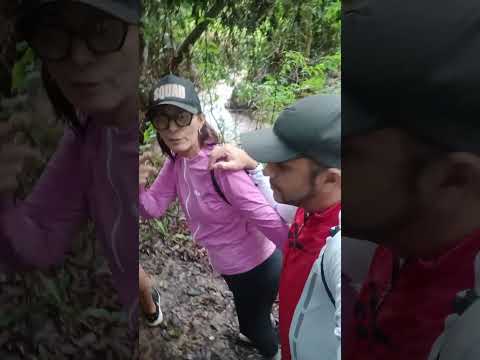 Trilha em Santa Rita #paraiba #trilhas #natureza
