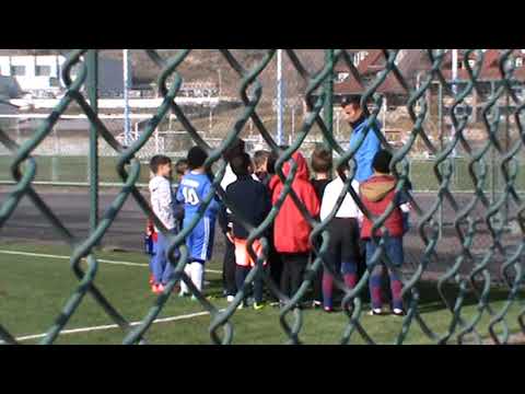 Հովիկ Փյունիկ 2011