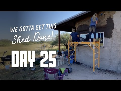 Get This Shed Done - Day 25 - Ashley & the Kids Make Massive Exterior Coat Progress