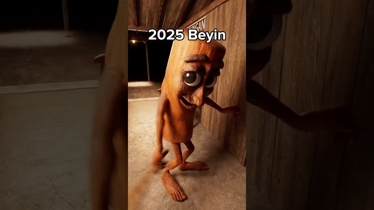 2025 - Özet